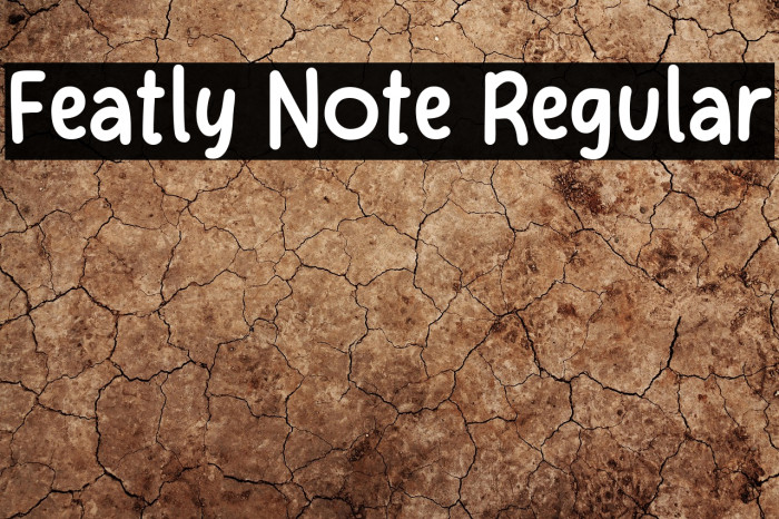 Featly Note Regular Example 3