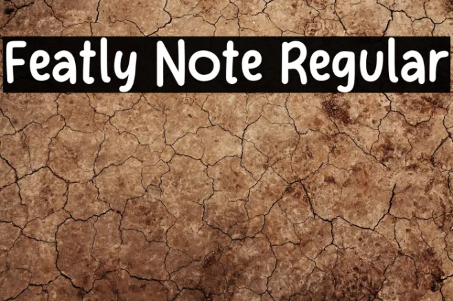 Featly Note Regular Example 3