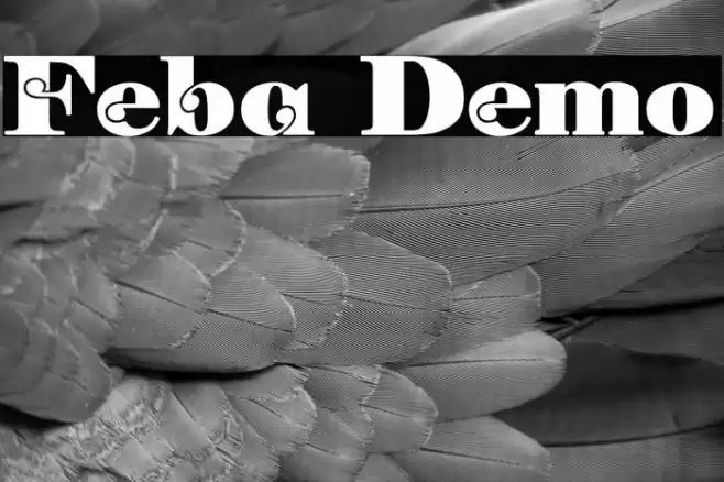 Feba Demo Font examples