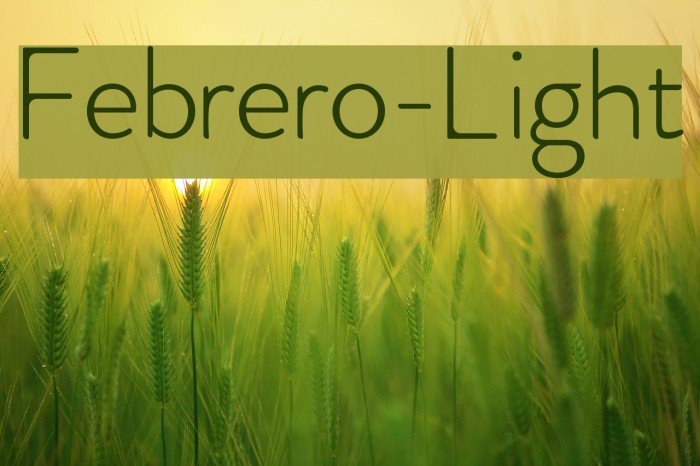 Febrero-Light Font examples