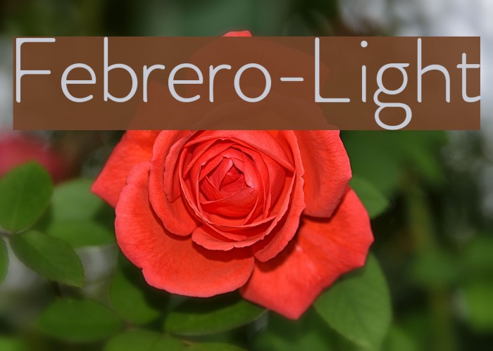 Febrero-Light Font examples