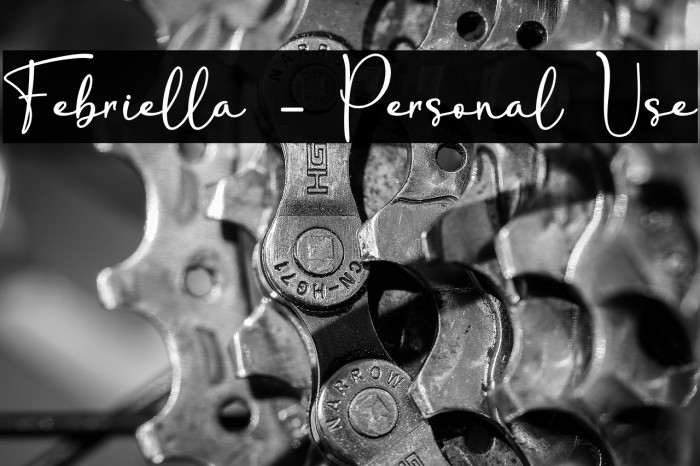 Febriella - Personal Use Example 1