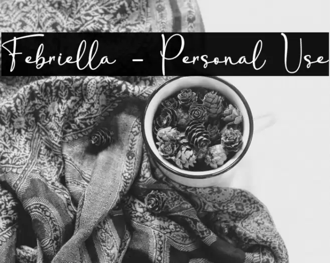 Febriella - Personal Use Font examples