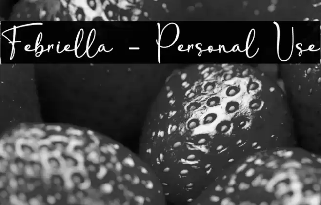 Febriella - Personal Use Font examples