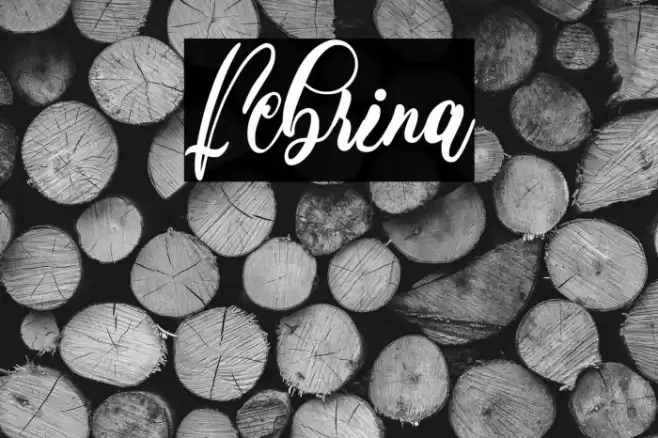 Febrina Font examples