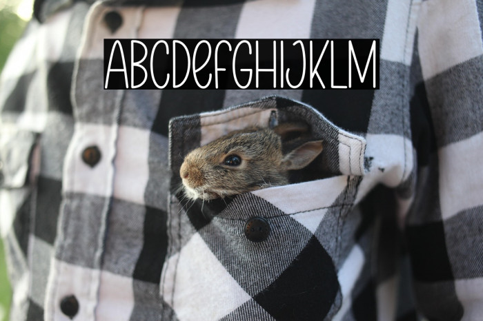 February Minimalist Example 2