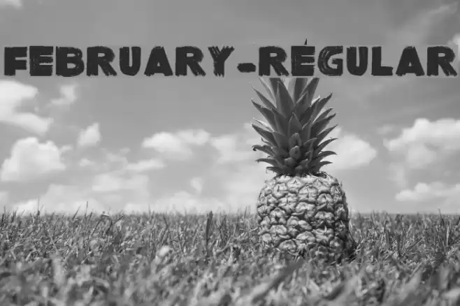 February-Regular Font examples