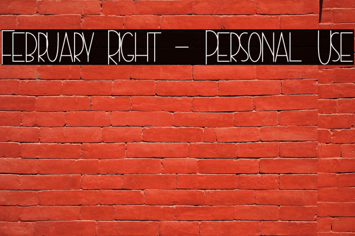February Right - Personal Use Example 2