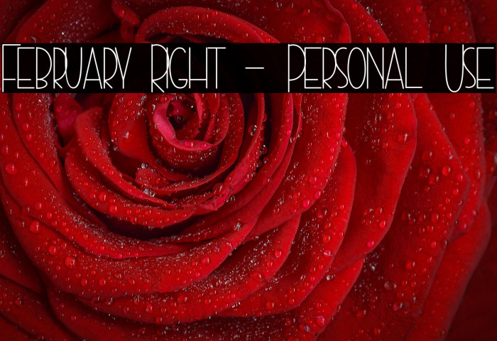 February Right - Personal Use Example 3
