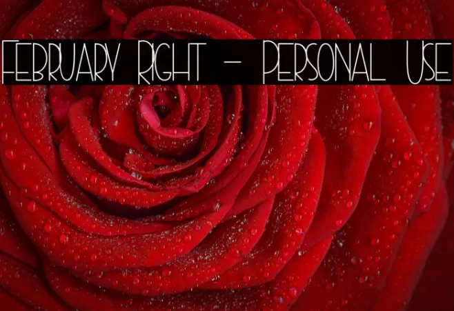 February Right - Personal Use Example 3