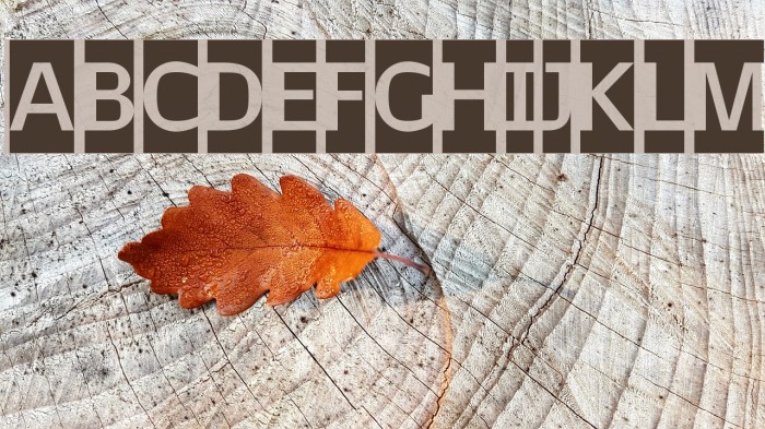 February2-Initials Font examples