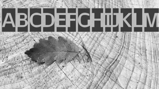 February2-Initials Font examples