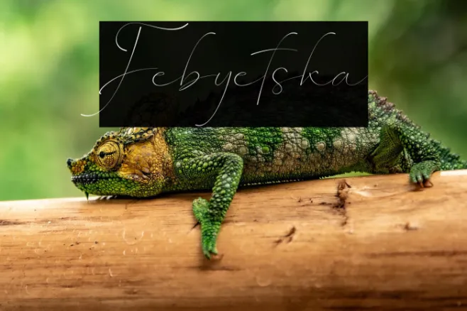 Febyetska Example 2