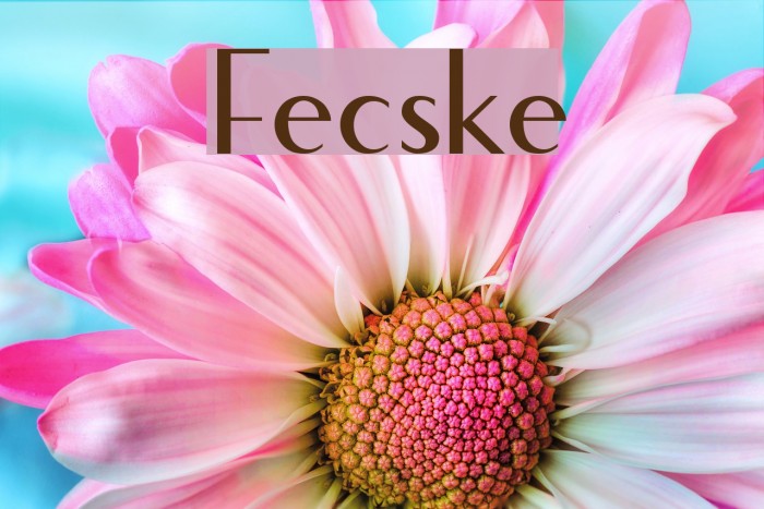 Fecske Font examples