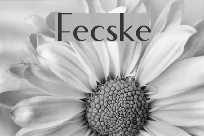 Fecske Font examples