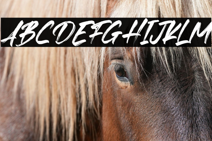 Fedattona Italic Example 2