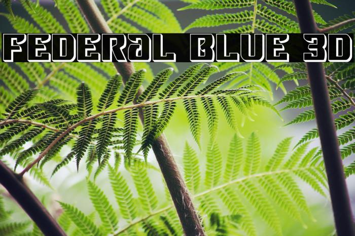 Federal Blue 3D Font examples
