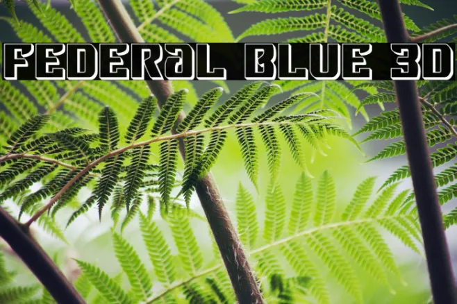 Federal Blue 3D Example 3