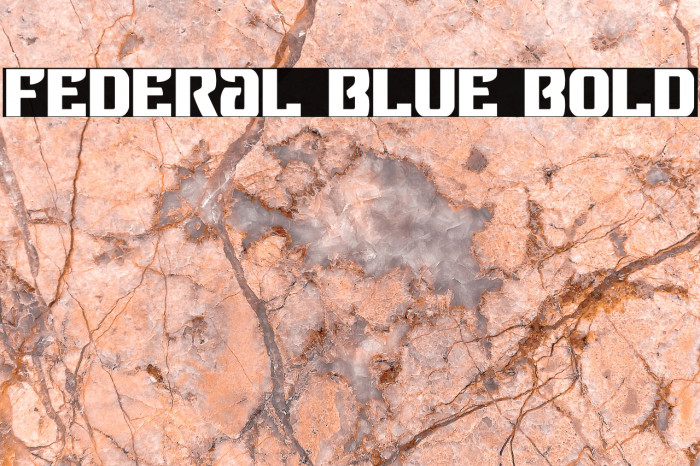 Federal Blue Bold Font examples