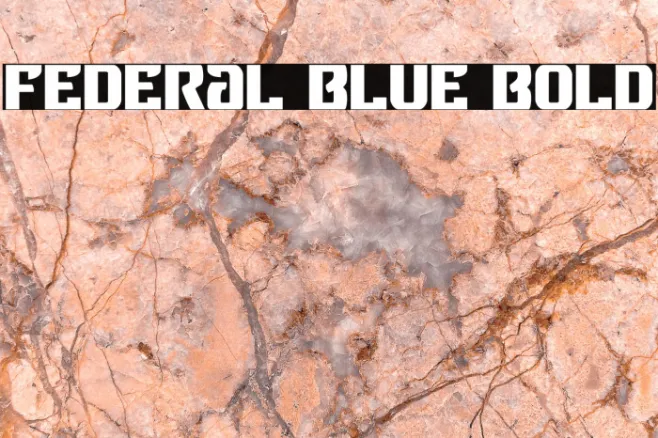 Federal Blue Bold Example 3