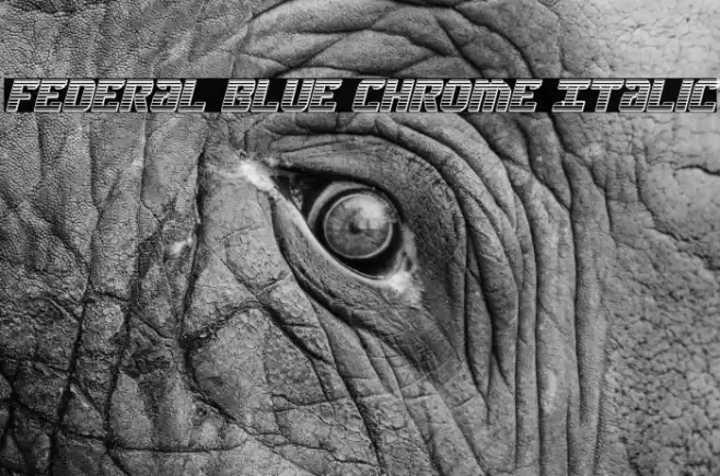 Federal Blue Chrome Italic Font examples