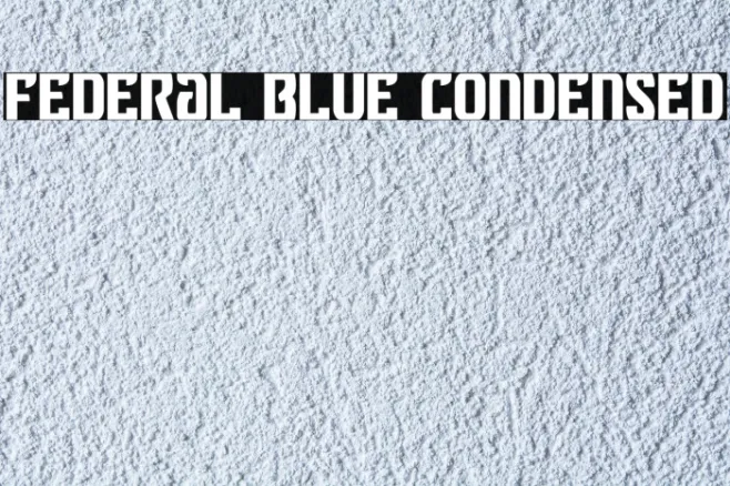 Federal Blue Condensed Example 1