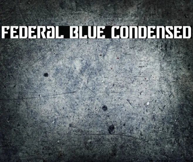 Federal Blue Condensed Example 3