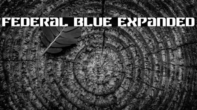 Federal Blue Expanded Font examples