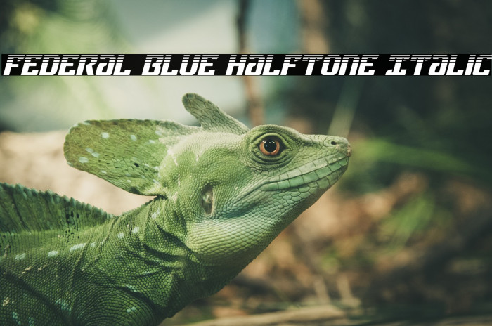 Federal Blue Halftone Italic Font examples