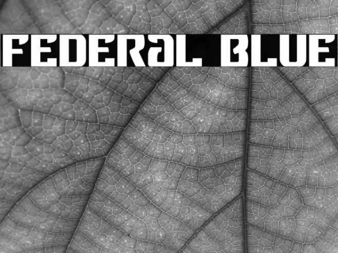 Federal Blue Font examples