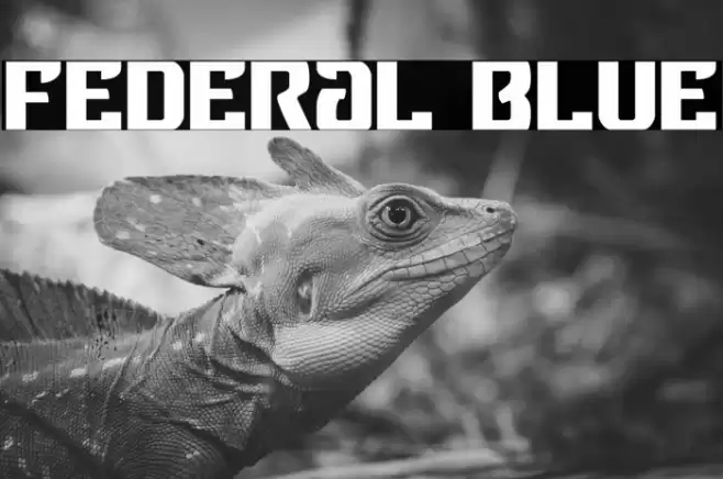 Federal Blue Font examples