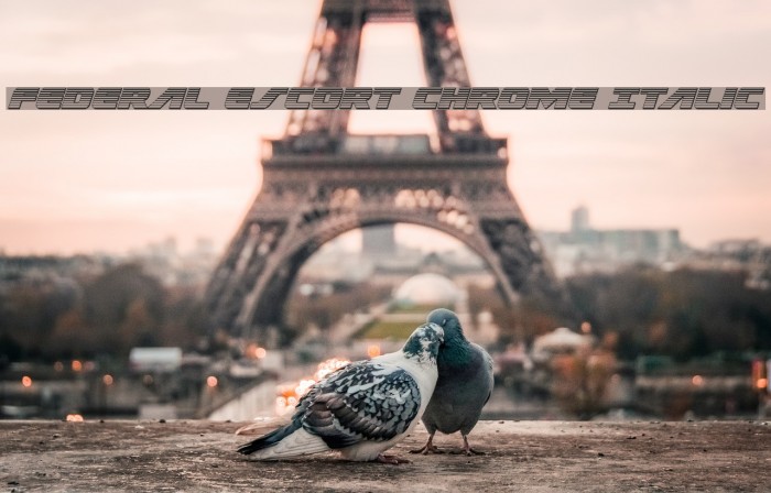 Federal Escort Chrome Italic Font examples