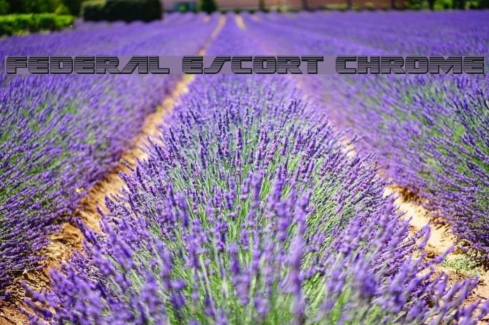 Federal Escort Chrome Font examples