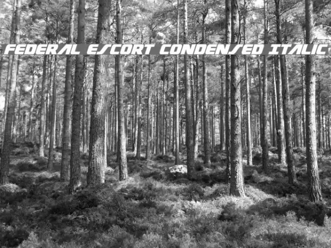 Federal Escort Condensed Italic Font examples