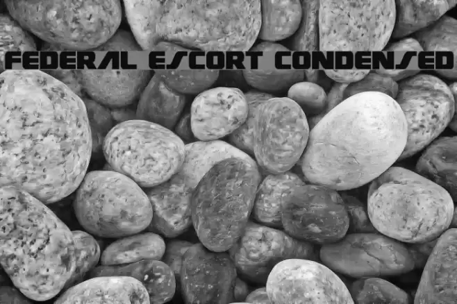 Federal Escort Condensed Font examples