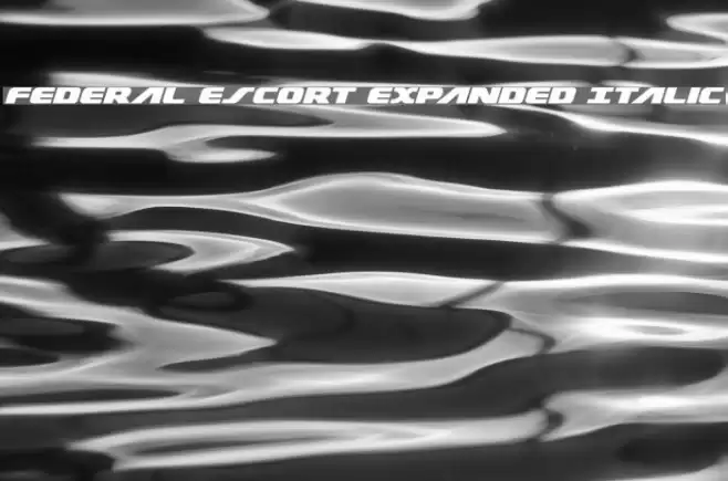 Federal Escort Expanded Italic Polices examples