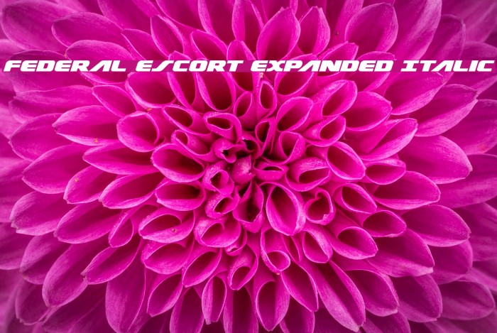 Federal Escort Expanded Italic Font examples