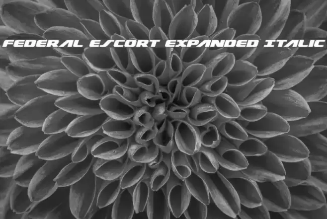Federal Escort Expanded Italic Polices examples