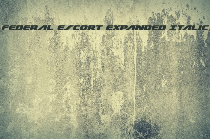 Federal Escort Expanded Italic Font examples