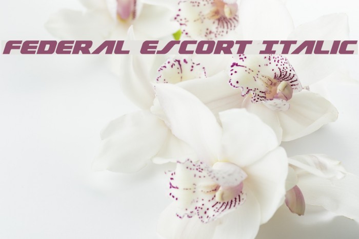 Federal Escort Italic Font examples