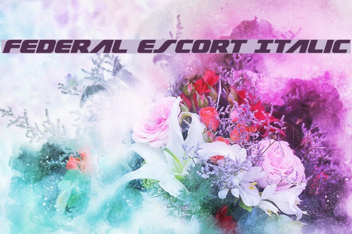 Federal Escort Italic Font examples