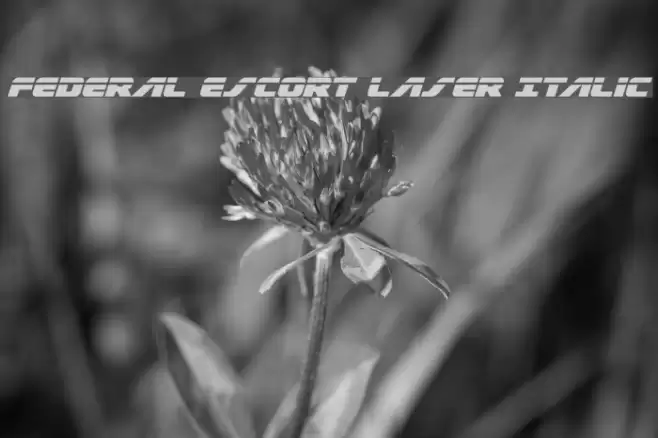 Federal Escort Laser Italic Font examples