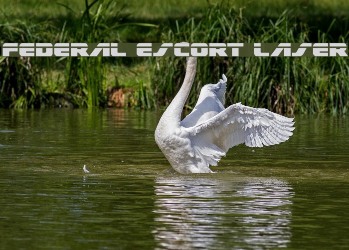 Federal Escort Laser Font examples