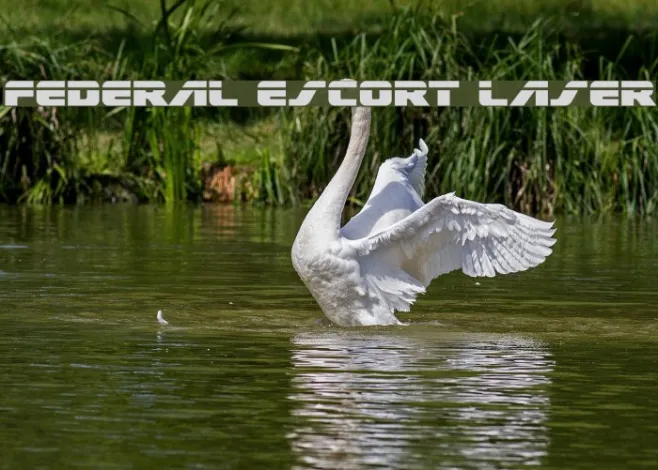 Federal Escort Laser Example 1