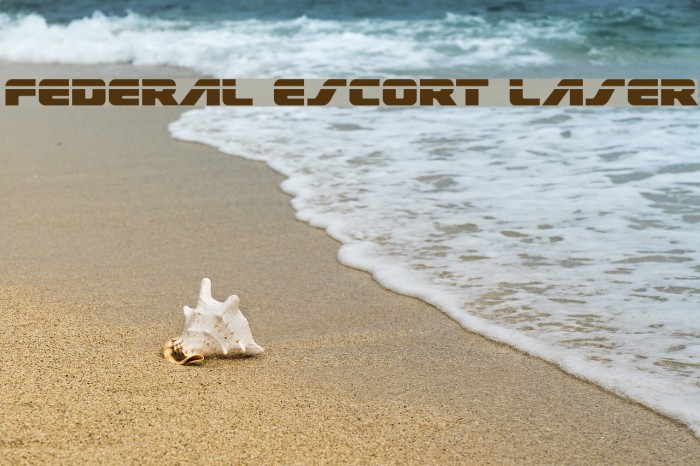 Federal Escort Laser Font examples