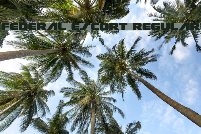 Federal Escort Regular Font examples