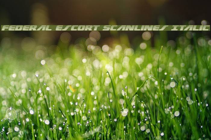 Federal Escort Scanlines Italic Font examples
