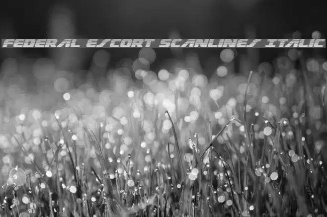 Federal Escort Scanlines Italic Font examples