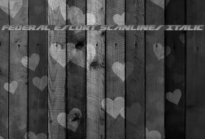 Federal Escort Scanlines Italic Font examples