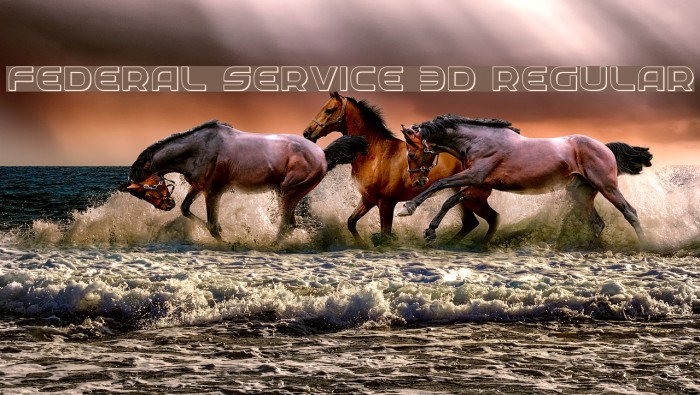 Federal Service 3D Regular Example 2